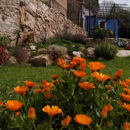 Bioclimaticos El Mirlo Azul Διαμέρισμα Cabañas del Castillo